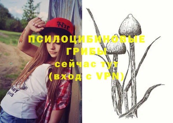 apvp Алзамай